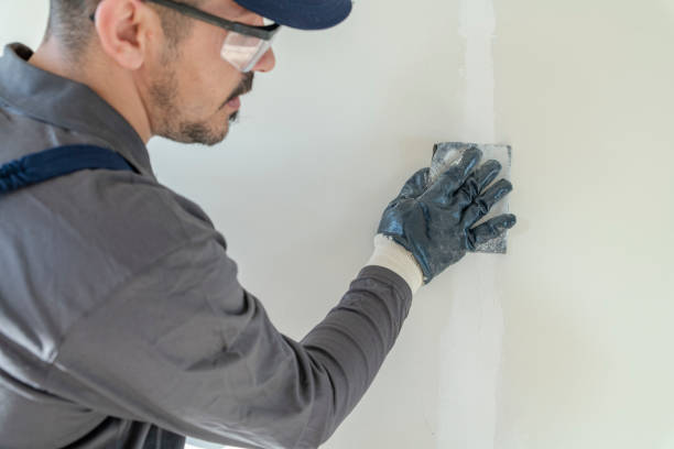 Best Drywall Sanding and Smoothing  in Rochester, WA